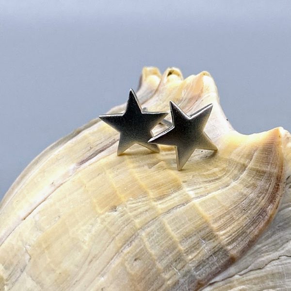 Oorstekers 925 zilver maritiem zeester mat